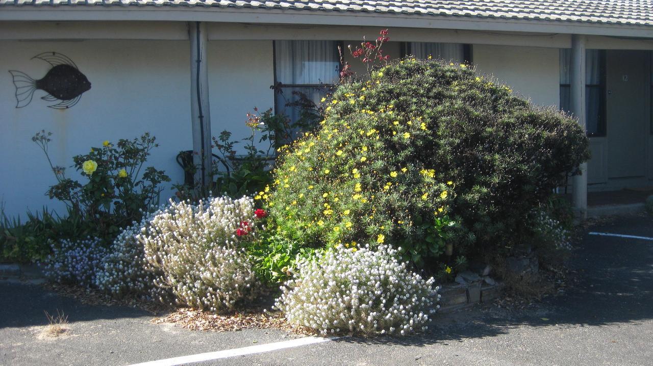 Robe Haven Motel Exterior photo